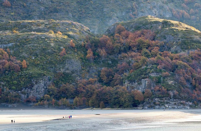 nPatagonia Lodge: A Symphony of Nature and Luxury