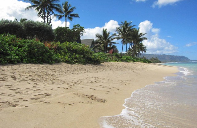 Oahu North Shore Cozy Condo Steps From The Beach