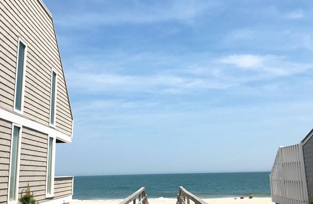 Ocean and Dolphin View