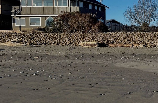 Ocean Shores secret Gem. Wildlife Seashells Driftwood Agates. Quite Relaxing.