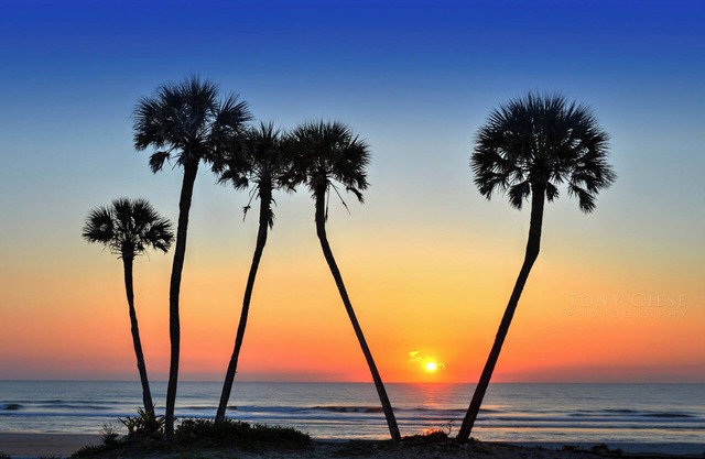 Ocean Walk Resort 2/2 Bedroom LO