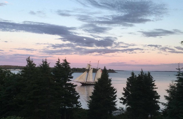 Oceanfront House on 2 acres, Sleeps 8, incredible property. Views!