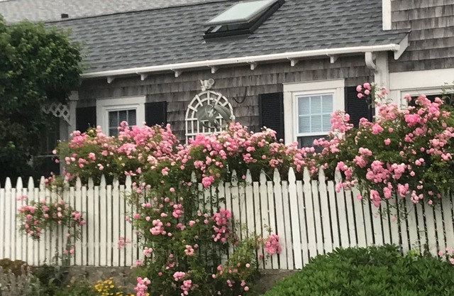 Oceanfront on Buzzards Bay