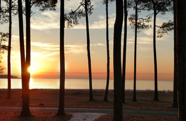 OCEANFRONT with Golf cart & Amenity Access