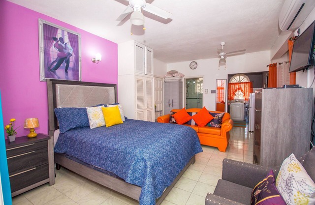 Ocho Rios Ocean View Large Studio 24 Hours Security Wi/fi sleeps 2