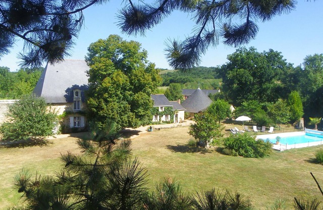 Old castle in large private park with swimming pool