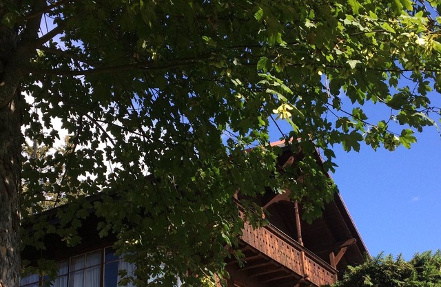 Old chalet with lots of charm and panoramic view
