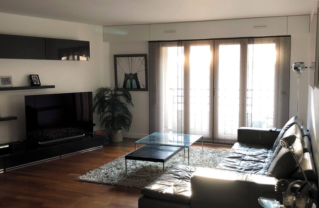 Olympics Special: Charming 3 Bedroom Apartment With Terrace for Rent Montmartre