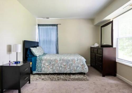 One Bedroom Apartment in Norwood