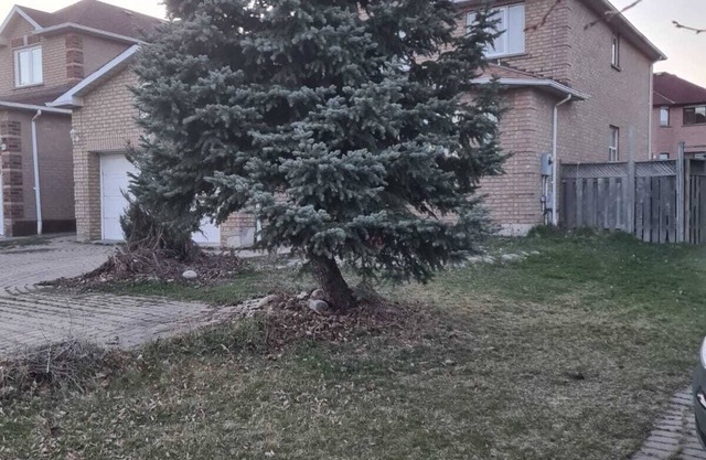 One Bedroom Suite Basement Apartment with private Toilet