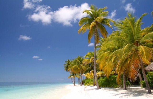One of the Best Private Beaches in US! Great Location fun activities-Fast Wifi!