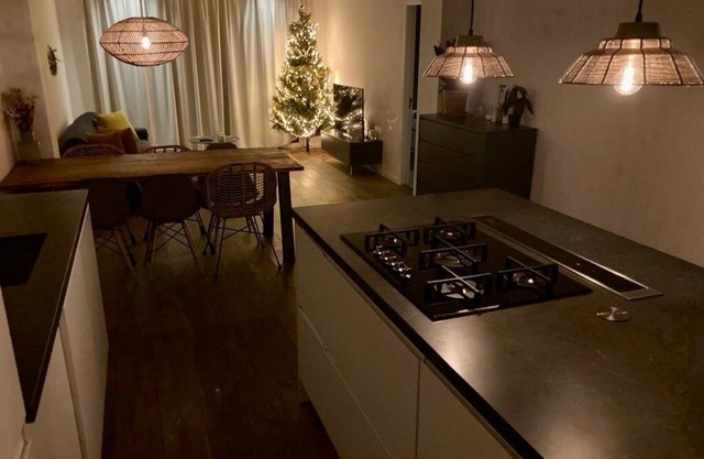 One room near Vondelpark