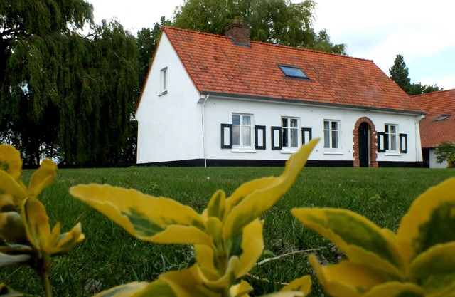 Ontdek de Kracht van de Rust, Dichtbij de Kust!