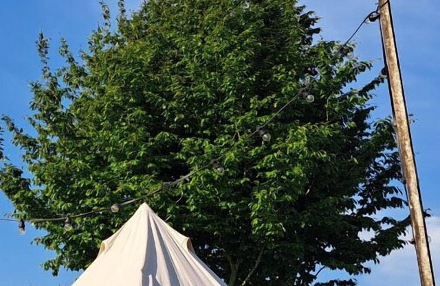 Ontwaak met het Geluid van de Natuur en Geniet van het Landelijke Staden