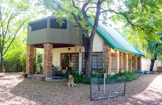 Open Plan House in a Spacey Yard