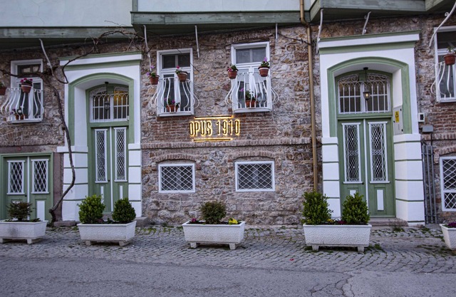 OPUS 1910 OTEL
