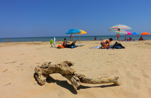Organic holidays between Sea and Mountains of Abruzzo AApp. "IL SOLE"