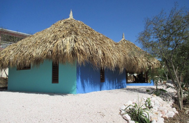 Original holiday apartment covered with palm leaves