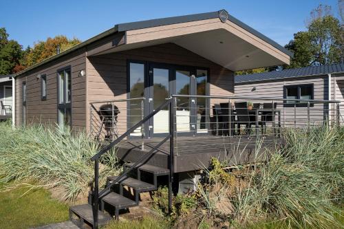 Ostseecamp Lübecker Bucht Seemöwe