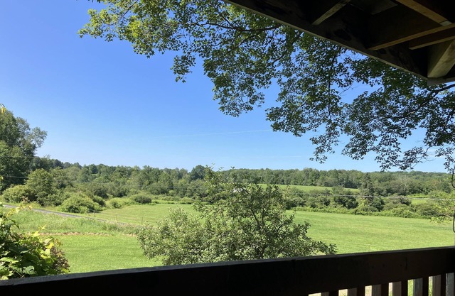 Our Ctown property,lite cooking,1 bedroom slp3Cabin WiFi~AC&fishing in our pond!