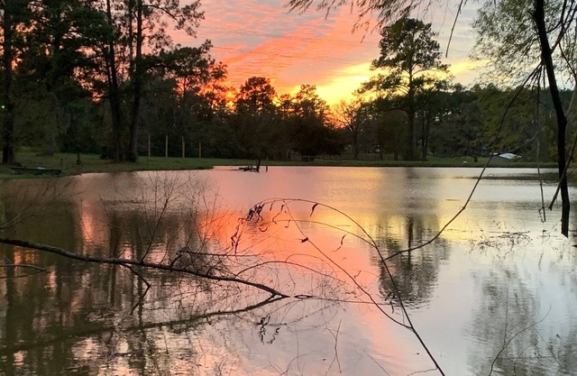Our Happy Place Farm - 2 Bedroom Cabin near Lake Conroe