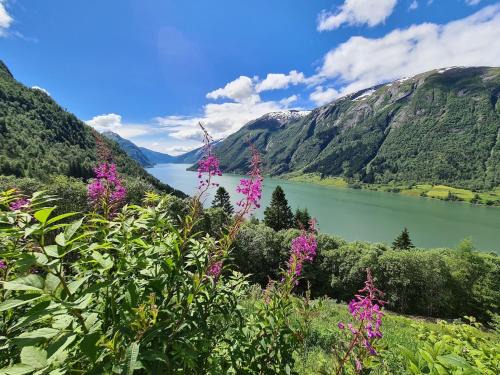 Over the Fjord