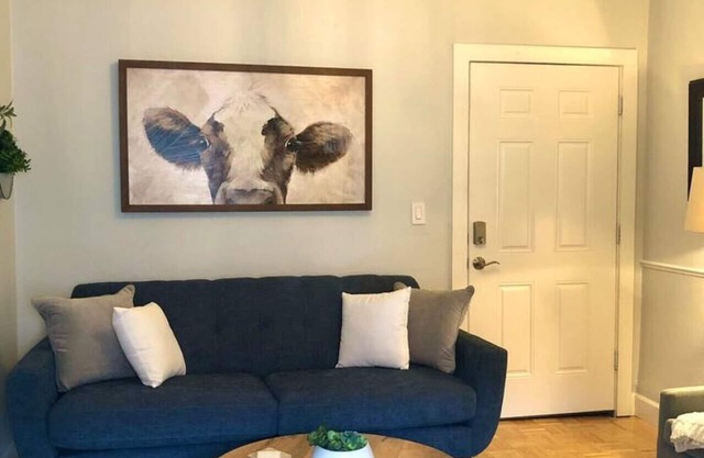 Overlooking Downtown Dunedin Two Bedroom apartment