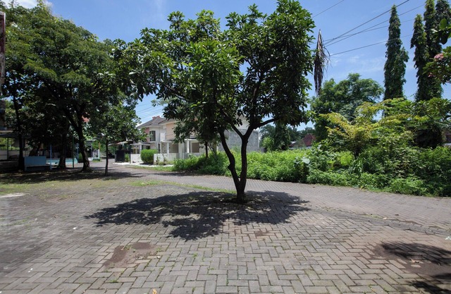 OYO 2415 Ibma Smart Syariah