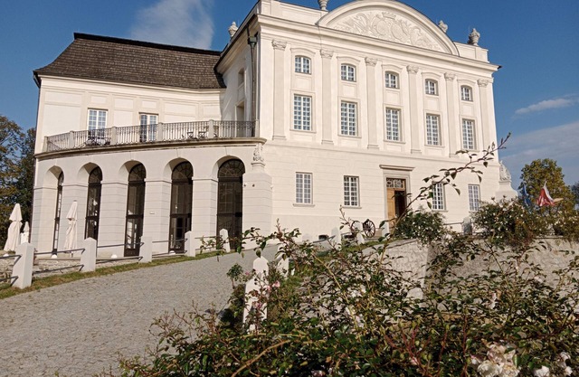 Pałac w Kurozwękach