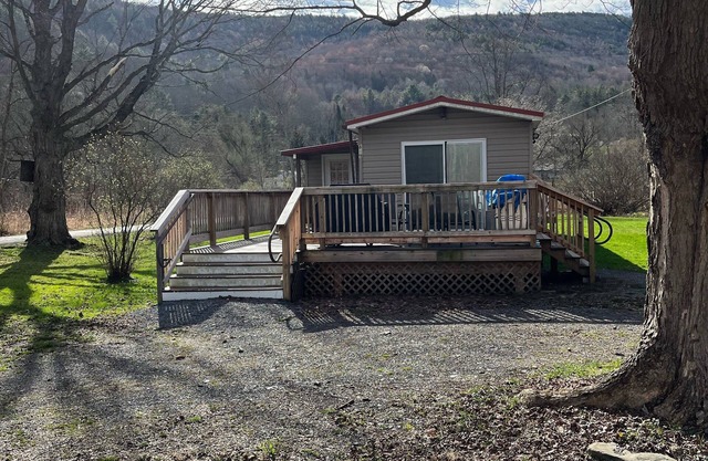 PA Grand Canyon cozy mountain retreat on 35 private acres