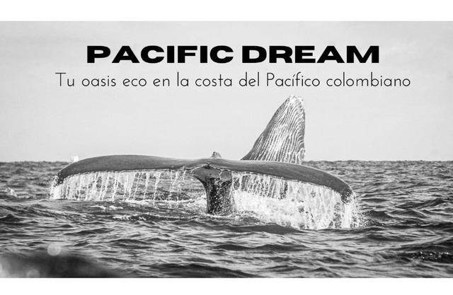 Pacific Dream Eco-Hostal