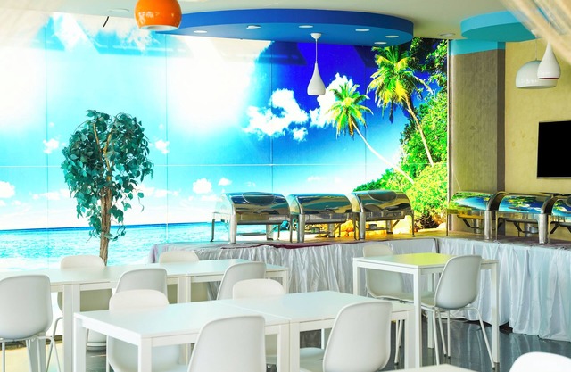Palette Muscat Al Bayrahaa