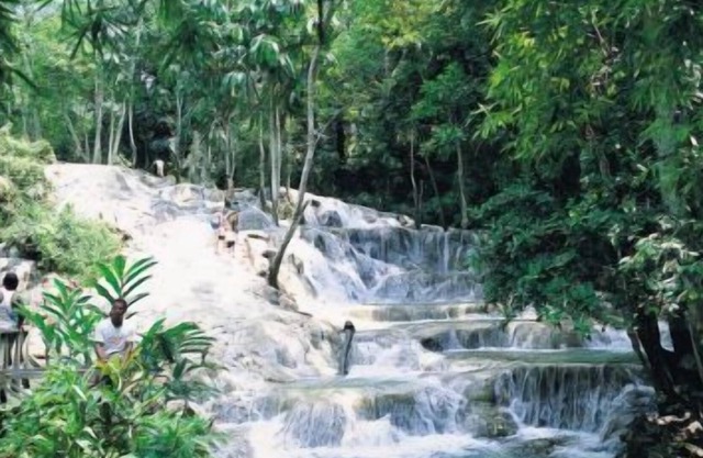 Palm Villa - Duncans Bay, Trelawny - The perfect getway.