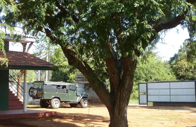 Palugaha Pilgrim Resort
