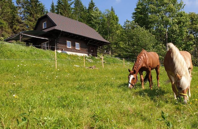 PANORAMA RANČ