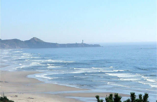 Panoramic Ocean View! Amazing Sunsets! Whale Watching!