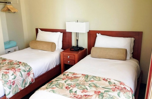 Partial Ocean View | 2 Units | 1BR Suites with Pool | Waikiki