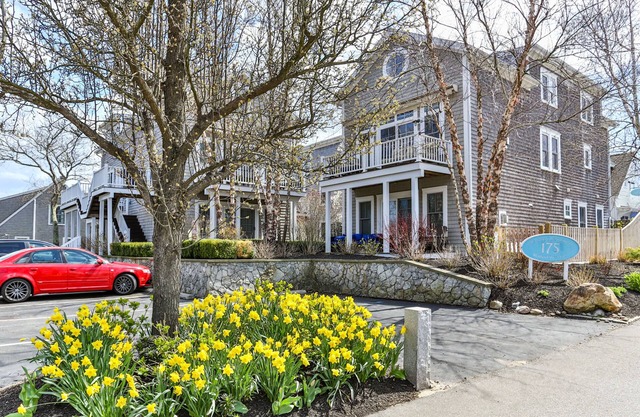 Peace and Luxury in the West End