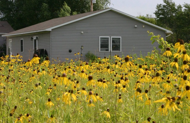 Peace on the Prairie: Native prairie setting - Pets allowed. No cleaning fees