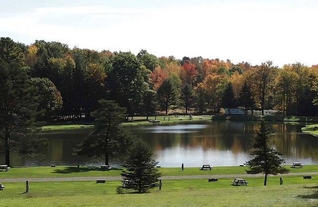 Peaceful Cabin Escape! Free Parking, Water Sports Activities!