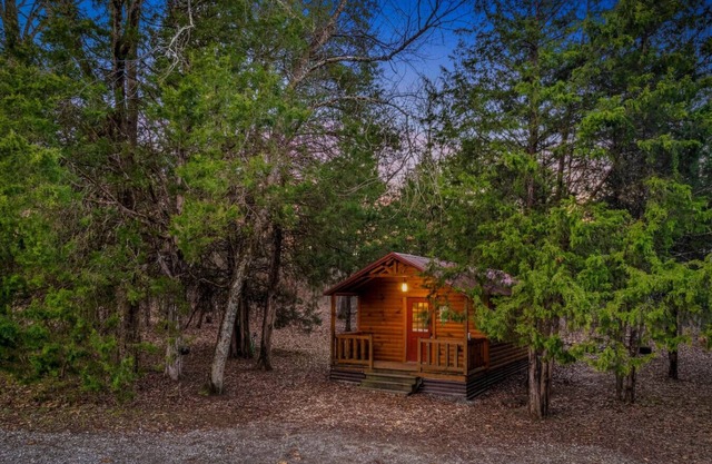 Peaceful Cabin w/TV + Wi-Fi + Firepit | Pets!