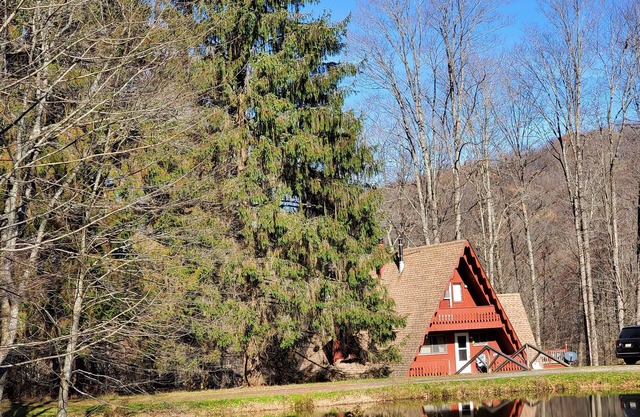 Peaceful Days~Cozy Cabin~Sounds of Silence~Star Gazing~Relax