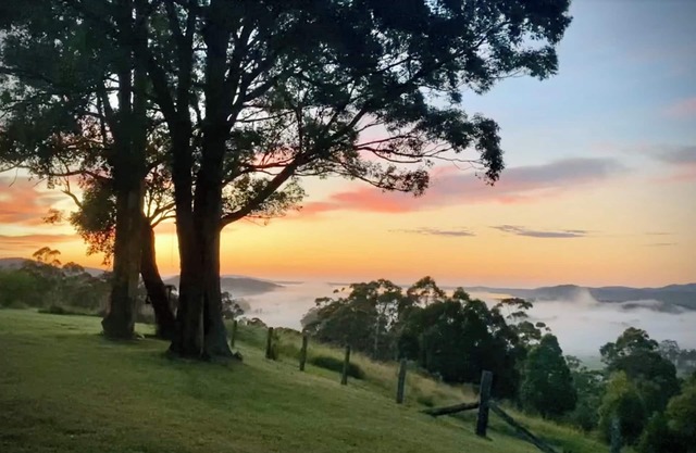 Peaceful escape with stunning views & sauna. Nr Seal Rocks. Pets okay.