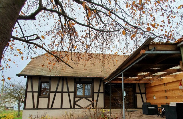 Peaceful house in the heart of Alsace