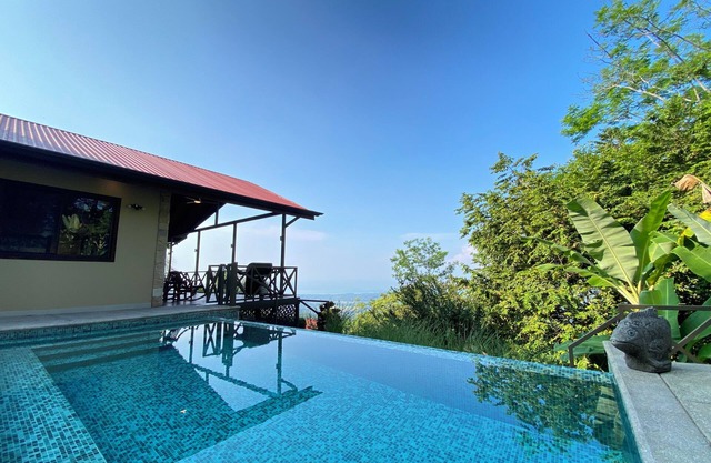 Peaceful Jungle Setting with Expansive Whales Tail/Ocean View