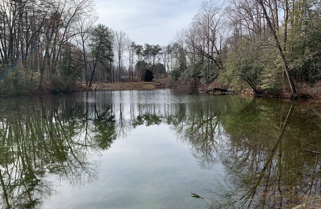 Peaceful Pond Retreat offers a home away from home!