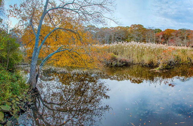Peaceful Relaxation in a Quiet Neighborhood in the Heart of Long Island