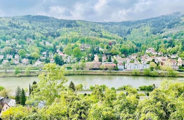 Penthouse Overlooking the Neckar