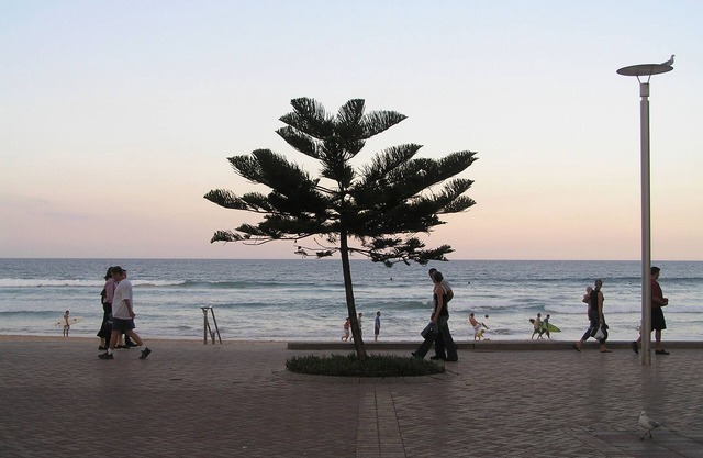 Peppers Manly Beach