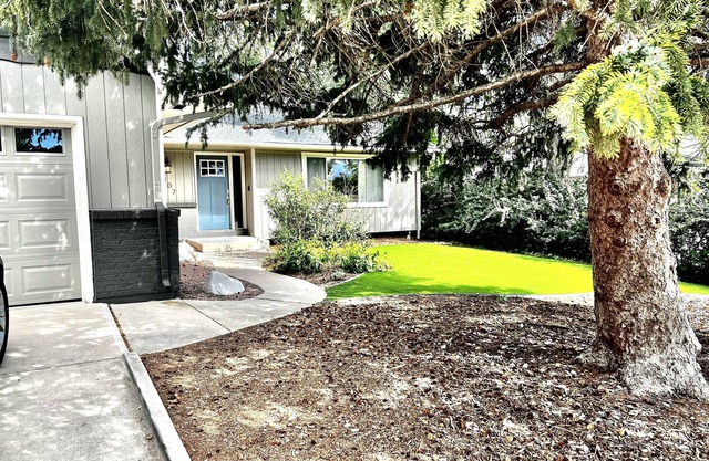 Perfect Family Rancher close to Bike Trails &UCCS with fenced backyard & hot tub